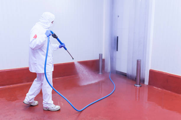  Pecan Plantation, TX Pressure Washing Pros