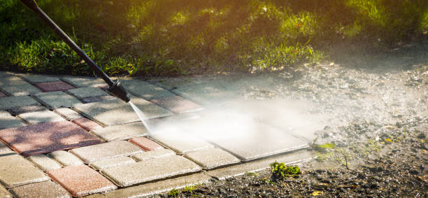 Best Soft Washing  in Pecan Plantation, TX